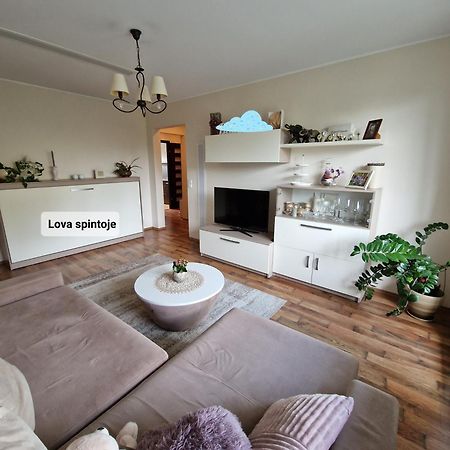 Ferienwohnung Siaure Kaunas Exterior foto