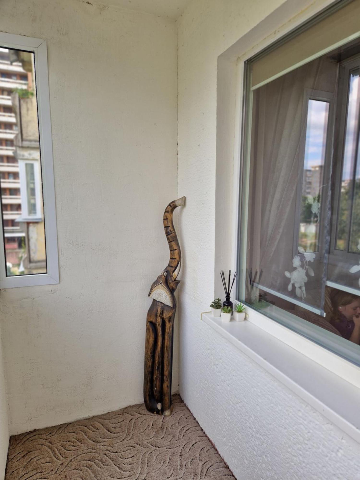 Ferienwohnung Siaure Kaunas Exterior foto